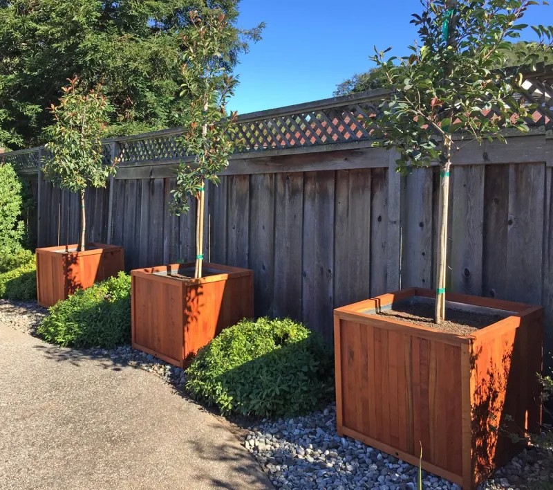Large redwood planter boxes